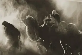 梦驼铃背后的故事图片