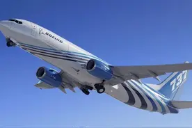 坐飞机该坐大飞机还是小飞机安全图片