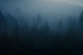 7.13一起突围赢出去！暗区突围预告片首曝，高拟真沉浸感直接拉满图片