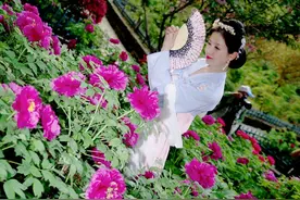 被子女抛弃的老妇人，搬进养老院后的惊人变化：她说出了这样的话图片