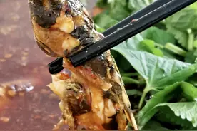 1987年的“老字号黄辣丁”，成都知名的苍蝇馆子，80元一斤吃到爽图片