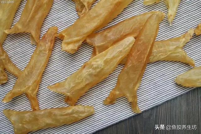 合成鱼胶 2026年合成鱼胶怎么分辨