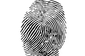 俗语“一螺穷，二螺富，三螺四螺卖豆腐”，啥意思？有道理吗图片