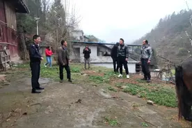 【提升群众安全感满意度】马儿离家出走，民警将其寻回图片