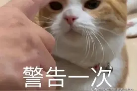 买延保成了冤大头？4个典型案例告诉你......图片