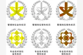 军队文职是什么？我带你认识一下文职的标识吧图片