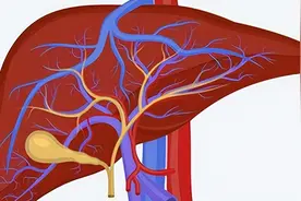 12岁小公主皮肤发黄，家人如遭雷击，解密肝豆状核变性的原因图片