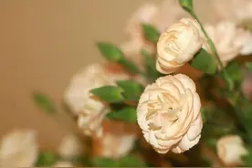 儿女找对象，要打听清楚对方家庭的3件事，这不是心机，而是远见图片