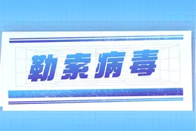 常见的勒索病毒种类，mallox勒索病毒处理办法图片