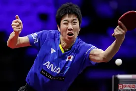 水谷隼不愧是日本一哥，奥运会金银铜牌都有了，两次击败许昕图片