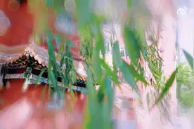 （视频）太原：最近围着你转的小飞虫是啥？如何治理？专家解读来啦！图片