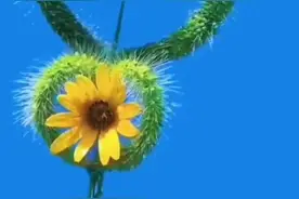 上帝为什么给你那么多磨难图片