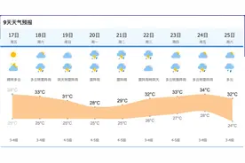 冰淇淋、雪糕、冰棒价格如何？热浪袭来！冷饮批发受欢迎图片