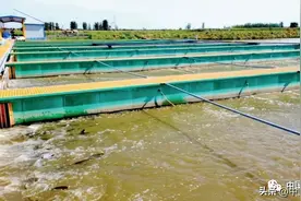 新疆池塘养殖存在问题与对策探讨图片