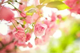 当一个人不再联系你，就如此做图片