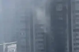 自管模式可以作为物业管理的一种尝试，但不可能成为主流！图片