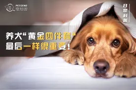 养狗，遗传病筛查报告一定要看图片