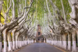 胭脂传奇——西安交大校园里的胭脂坡图片