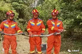 云南一竹林有眼镜王蛇盘踞不走，被抓发现30只蛇蛋，眼王会筑巢？图片