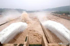 黄河“流鱼”奇观：大量鱼类被呛死，为何黄河鲤鱼却能独善其身？图片