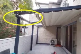 伸缩棚逐渐流行，省成本灵活性好高，露台或自建房门前皆适用图片