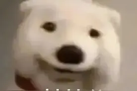 三轮车着火大爷一路淡定处理？！网友：这是我见过最淡定的大爷图片