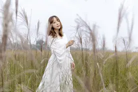 乡土情缘：风流债图片