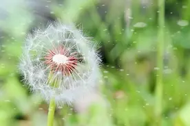 人活一辈子，想开了，不过就两件事图片