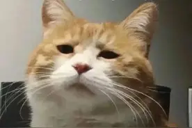 为什么「五一调休」冲上了热搜？图片