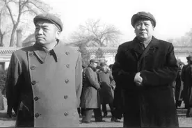 崽卖爷田不心疼的典故图片