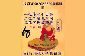 福彩3D第2022229期藏机图解析图片
