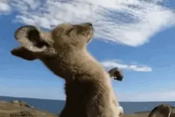 搞笑表情包：已阅，不回图片