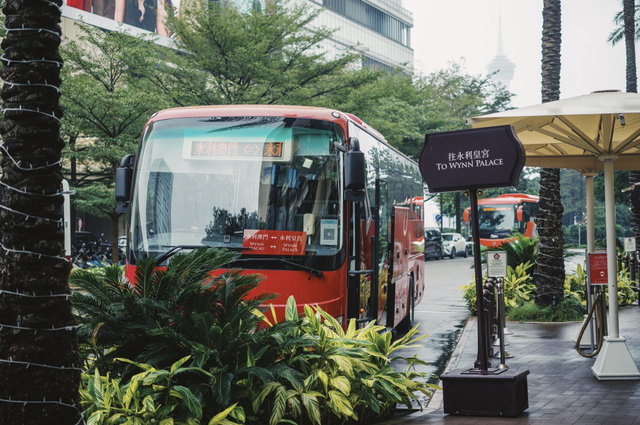 澳门买花胶哪家好? 2026年澳门买花胶哪家好吃