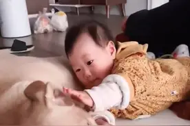 江苏一萌娃第一次喊“爸爸”，却是对着狗狗喊，爸爸心里五味杂陈图片