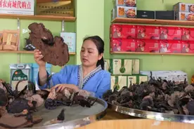 苗山姑娘创业记：在深山中开辟一番新天地图片