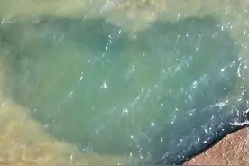 惊现“爱心海”！日照，果然是懂浪漫的！图片