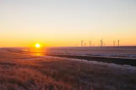 10句经典俗话，看穿人性，说透人生图片