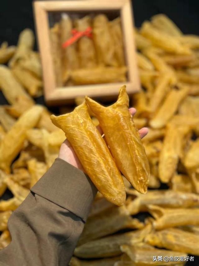 燕窝没有花胶效果好 2026年燕窝没有花胶效果好怎么办