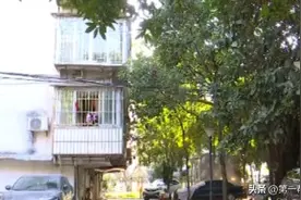 树木繁茂影响居住，无物业小区修剪费该由谁出？高低住户看法不一图片