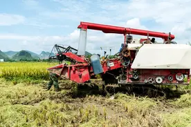 6公斤水稻收割机，湖北禾旺vs江苏沃得，刚通过鉴定的新机型对比图片