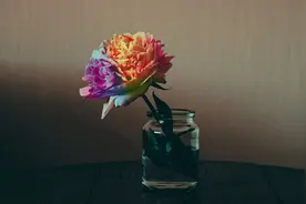 淡了，远了，回不去了图片