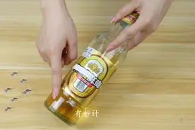 夏天驱蚊虫，只需用啤酒搭配白糖，家中蚊子全跑光，比蚊香还好用图片