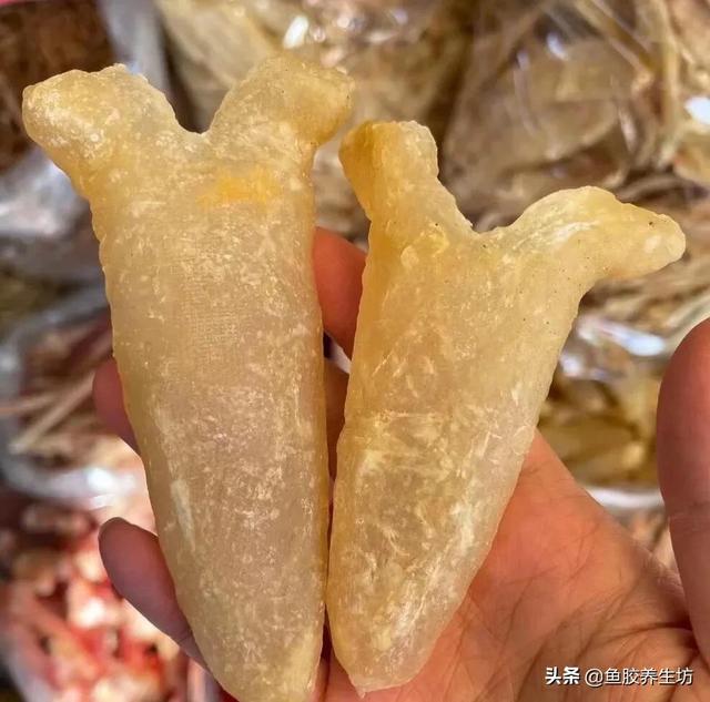 巴沙鱼胶的功效 2026年巴沙鱼胶的功效与禁忌