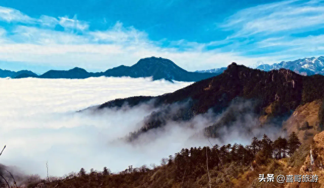 成都周边旅游攻略(成都三日游最佳方案表)
