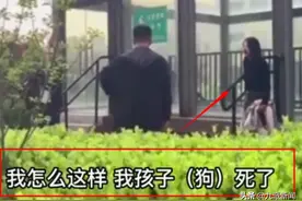 狗吓哭1岁儿童后遭家长摔死，狗主人：现在还要被骂，我真的受不了，不敢再遛另一条狗图片