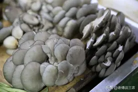 农户购买2元1筒的平菇菌筒出菇，有钱可赚吗？种菇人告诉你图片