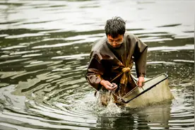 一天能捞100多斤！中国多地出现“捞虫族”，暴利下风险有多大？图片
