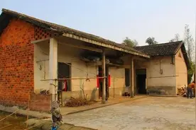 老人常说“鸡跳灶台，家里要乱”，“半夜狗叫，不祥之兆”真的？图片