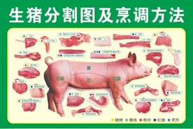 前腿肉、后腿肉、里脊肉、五花肉，怎么选购？图片