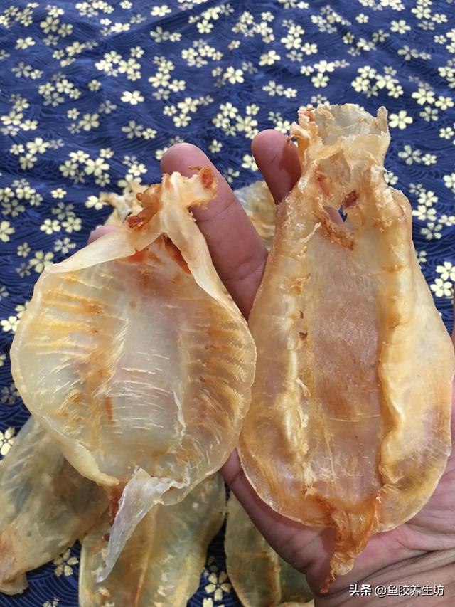 人工合成花胶 人工合成花胶可以吃吗